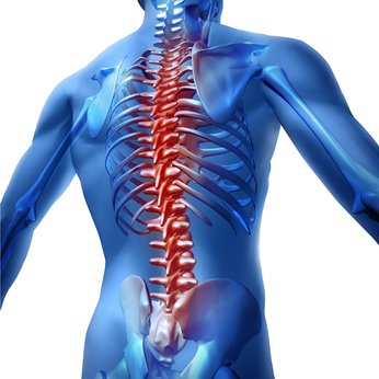 Shoulders, Hip, Spine Connected