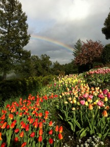 A Picture of Ananda Village close to Nevada City